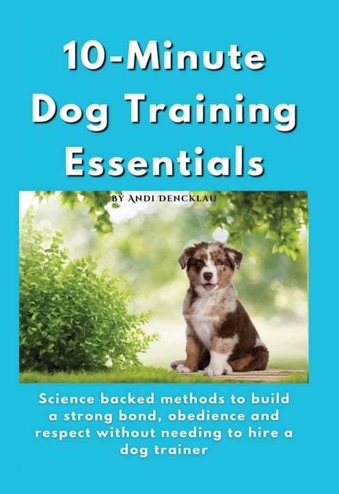 10-Minute Dog Training Essentials