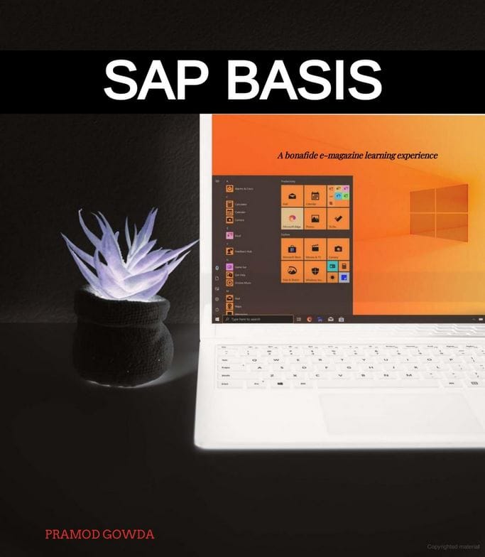 SAP BASIS E-Magazine