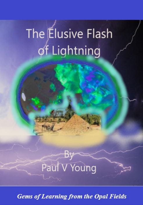 The Elusive Flash of Lightning